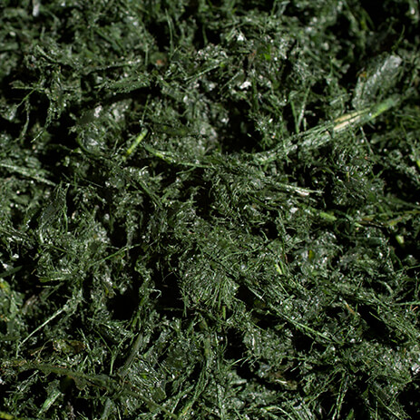 BURE 11_mosaico galeria.jpg